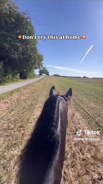 Dressage Horse Dreams of Being a Racehorse