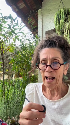 Dolores Montesó/papel machê on Instagram: "A Importância de Criar com as Mãos: Voltando ao Analógico Arte que só vem da mente não é nada boa. Eu tenho olhado tempo demais para os retângulos planos e brilhantes das telas do computador. Torço para que nos dêem mais tempo pra fazer coisas no mundo real, plantar uma planta, passear com os cachorros, ler um livro de verdade, ir à ópera. Edward Tufte. Quando comecei a trazer ferramentas analógicas de volta ao meu processo, que fazer coisas tornou-se d