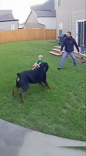 CCTV Footage: Rottweiler Attacks Child in Backyard — Owner Fights Back with Baseball Bat!#CCTVFootag