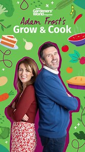 1.6K views · 32 reactions | Do you end up with a glut of courgettes?...