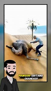 742K views · 10K reactions | Parlons Techs on Reels | Facebook