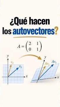 Autovectores: ¿por qué algunos vectores no giran?