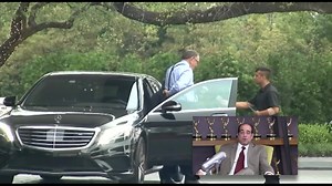 Family Injustice: Puppets on a String. Guess who's coming to dinner. | Dolcefino Consulting