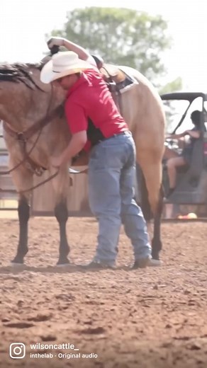 Wilson Cattle (@wilson_cattle)’s videos with original sound - Wilson Cattle