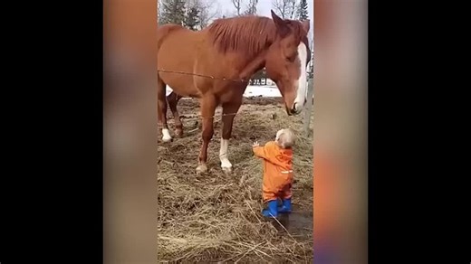 Видео от DELETED — Видео от DELETED