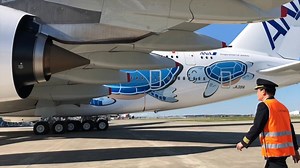 192K views · 11K reactions | ＼エアバスA380型機！外部点検の様子を公開／ 5月24日（金）にいよいよ就航を開始するエアバスA380型機「FLYING HONU」の外部点検✈️の様子（2倍速編集）をお届けします✨✨ パイロットになった気分でお楽しみください‍✈️ 2019年5月24日（金）成田＝ホノルル間で就航 ⇒https://ana.ms/30pF61y #FLYINGHONU　#a380 | ANA.Japan | Facebook