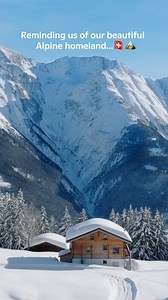 Shona just dropped her real Swiss talent on I’m A Celebrity… a full yodeling masterclass! 🇨🇭✨ The true Voice of the Jungle reminding us of our Alpine homeland 🏔️💛 #ImACelebrity #Yodel #Switzerland #Ricola | Ricola