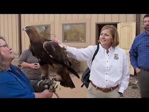 CPN Eagle Aviary Tour