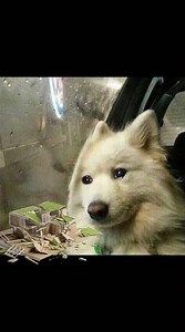 Lo que callamos los arquis