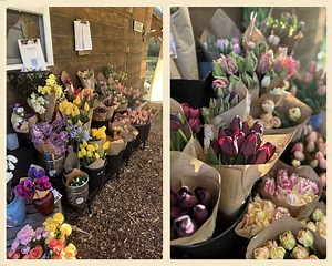 Mother’s Day flowers: Northeast Ohio farms offer locally grown alternatives