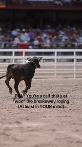 In breakaway roping, the calves always win 😉 Already counting down the days until the Kimes Ranch Million Dollar Breakaway and NFBR in Cowtown! | The Breakaway Roping Journal