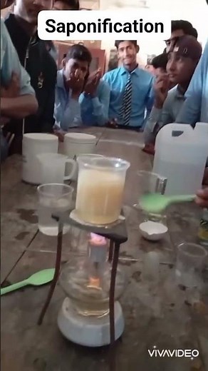 Saponification| Process of Making soap | Chemistry experiment |