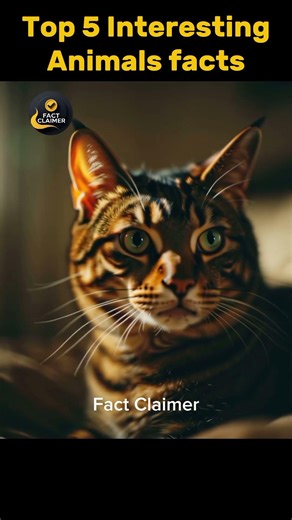 Top 5 Interesting Animal Facts | Amazing Wildlife Facts You Won’t Believe | Crazy Animal Facts 2026