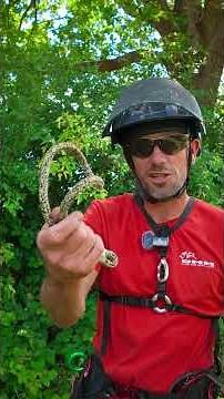 Getting started with SRS/SRT - The Rope Wrench Set up. Watch full vid! #arborist #treeclimbing #srt