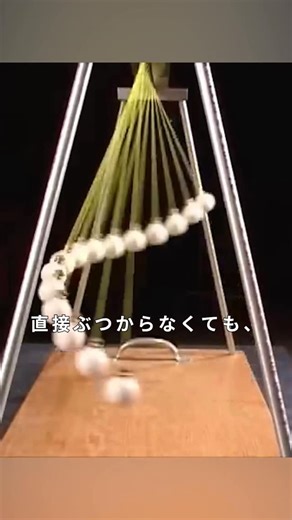 豆知識お兄さん on Instagram: "振り子に現れる物理の美学 振り子は、一見すると単純な往復運動に見えますが、その中には 物理学の本質的な原理が詰まっています。質量や長さ、位相の差といったごくわずかな条件の違いだけで、時間が経つにつれて まったく異なるパターンが生み出されます。この動画が注目するのは、一つ一つの球の動きではなく、時間の流れの中で現れる秩序と構造、そしてその奥に潜む物理の美学です。 出典：@joemyheck1、@NatSciDemos のチャンネルで、科学を楽しく学んでみてください。 音声：VOICEVOX 青山龍星 #物理学 #振り子 #ニュートンのゆりかご #エネルギー保存 #科学雑学"