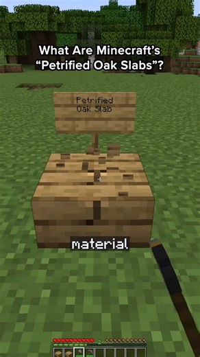 Retro Gaming Now on Instagram: "What are Minecraft’s “Petrified Oak Slabs?” #minecraft #gaming #minecraftlore #gamingclips"