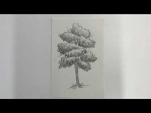 How to Draw a Tree