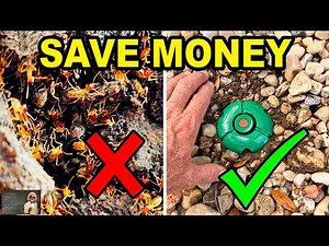 KILL Your Own TERMITES... EASY EASY EASY...Works EVERY TIME!