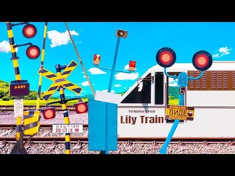 Japanese Railroad Crossing (踏切) Animation | Realistic Train Sounds #RailroadFimikiriTv #23