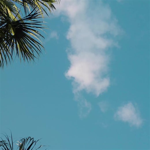 ¡Si vas a viajar, hazlo con tu CMR! Disfruta tus beneficios en vuelos, traslados, maletas, acceso a salones VIP ¡y mucho más! | Banco Falabella CMR