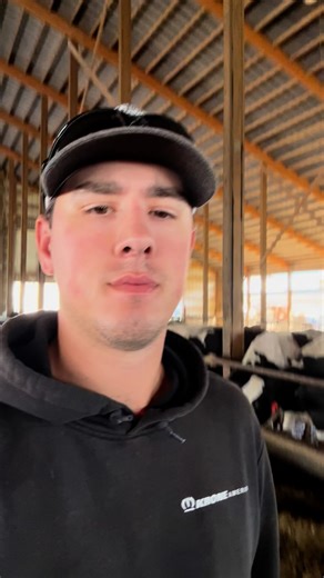1.5K views · 595 reactions | This is how we handle the manure in our freestall barn. #dairy #dairyfarming #farmer #familyfarm #life #family #farm #farmerlife #familyfarmlife | FarminwithTrev | Facebook