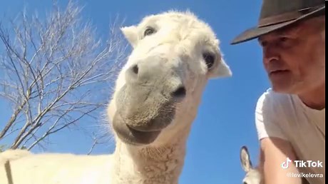 Levikelevra (@levikelevra)’s videos with Yahweh - WorshipMob & Cross Worship & Osby Berry