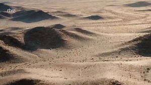 Un cactus saguaro gigante del desierto de Sonora cumple dos siglos de vida y este apasionante documental muestra la incesante actividad que ha albergado dando lugar a todo tipo de historias. Esta es la asombrosa historia de vida de un viejo cactus con sus turistas salvajes, comunidades residenciales peculiares e inquilinos a largo plazo que logran hacer de esta fortaleza aparentemente espinosa su hogar. https://www.rtve.es/play/videos/somos-documentales/hotel-cactus/16148403/ #WildLife #Desierto