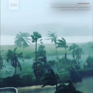 396K views · 4.8K reactions | Wind and rain whipped Marco Island,...