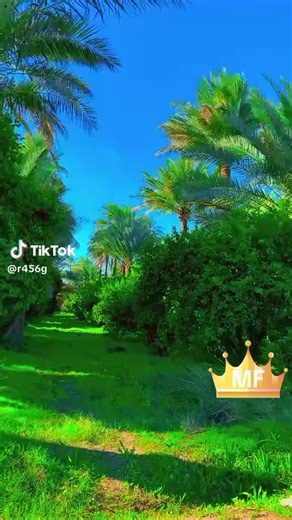 فيديوهات أنشأها MFMF (@alawwubhr) باستخدام الصوت الأصلي - Quran Everyday