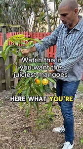 6.7K views · 52 reactions | Where my gardeners at?! So apparently…...