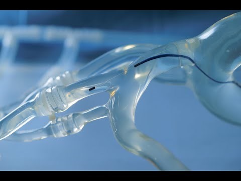 NanoFlex - Advancing medical robotic interventions