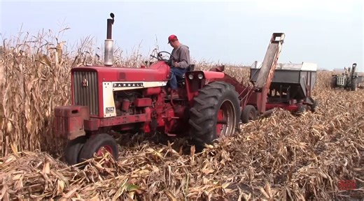 The Half Century of Progress Show features 400 acres of harvesting and plowing Andover 2,000 arm machines on display. In this video viewers will see classic tractors, corn pickers and combines at the Half Century of Progress Show harvesting corn.  bigtractorpower
