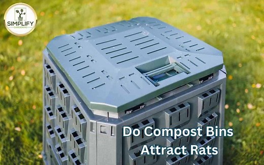 Do Compost Bins Attract Rats? How to Prevent It! - Simplify Gardening