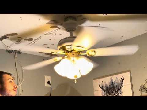 42 inch Hampton Bay Bridgetown ceiling fan ￼