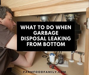 Garbage Disposal Leaking From Bottom: Here's How To Fix It