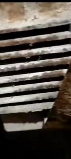 Common Signs of a Failing Timing Chain and Guide