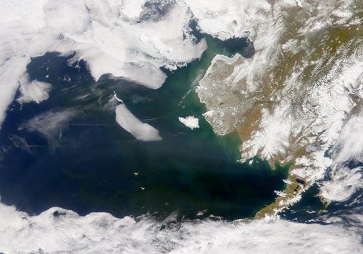 Warming in the Bering Sea Impacts Phytoplankton Bloom Type