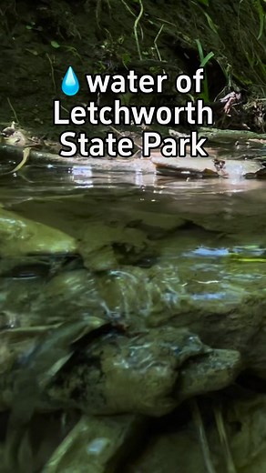 🥾When you hike in Letchworth, you’re never far from any size of woodland brook or stream. The whole park is roughly the size of Manhattan, with about 100 waterfalls, including 3 large river falls.💧Fresh water defines the Genesee Valley. The river carves both the ancient horizon-to-horizon valley views and the young, vertical rock cliffs and waterfalls here in Letchworth and in the City of Rochester.🌎Then, the river flows into Lake Ontario, joining the largest freshwater system on earth. If it