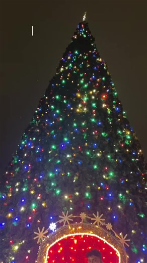 Winter wonderland ! #naperville #napervilleillinois