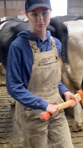 17K views · 77 reactions | Unbelievable Farm Drama： Watch as a Girl with an Ax Cuts Cows' Tails! | Cow Farm | Facebook