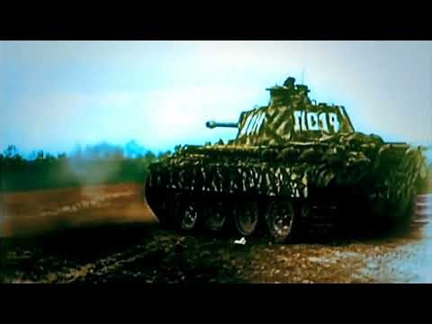 𝐖𝐖𝟐 𝐏𝐚𝐧𝐳𝐞𝐫 𝐄𝐝𝐢𝐭-𝐏𝐚𝐧𝐳𝐞𝐫𝐥𝐢𝐞𝐝 𝐂𝐨𝐥𝐨𝐫𝐞𝐝 𝐕𝐞𝐫𝐬𝐢𝐨𝐧 