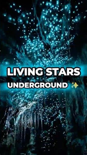 The Ceiling Moves... They're Alive ✨ #Shorts