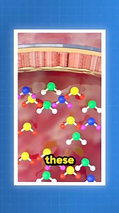 why do whales explode after death 🐋💥 #curiosity #randomfacts #LearnOnTikTok #factsyoudidntknow #facts #saveyourlife | MindfulFacts