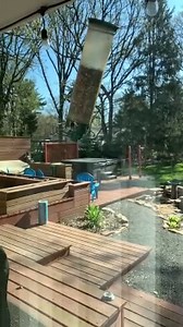 Squirrel Spins Itself Dizzy on Bird Feeder Hanging in Backyard