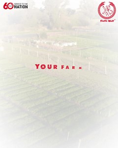 Farm smarter, not harder. Our farm tools are engineered to reduce effort and increase efficiency. Get the job done faster, with better results, because your farm deserves equipment that works as hard as you. [Ralli Wolf, Farm Equipment, Water Pump, Chain Saw, Earth Auger, Brush Cutter, Thermal Fogger, Power Tools] | Ralli Wolf