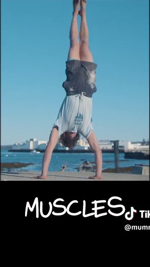 NOON EDT @ MUMMYJOE.COM | mummy_joe