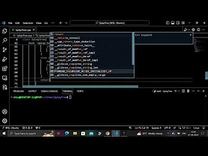 Implementing Splay Tree in C++ | Step-by-Step Guide with Comments | No Voice