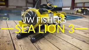 Sea Lion 3