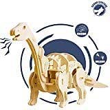 ROKR Dinosaur Toys