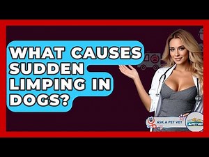 What Causes Sudden Limping In Dogs? - Ask A Pet Vet